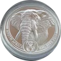 2019 Elefante plata