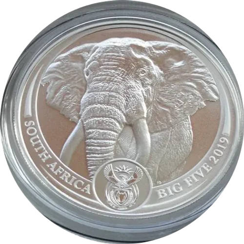 Big Five I Elefante