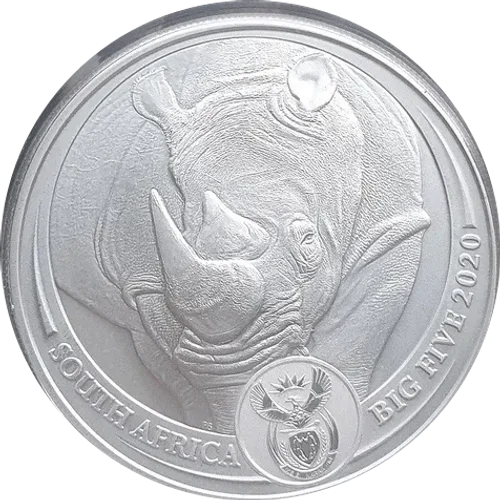 Big Five I Rinoceronte