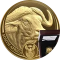2023 Búfalo oro