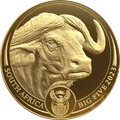 2023 Búfalo oro