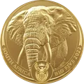 2021 Elefante oro
