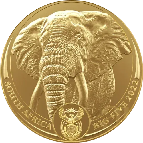 Big Five II Elefante