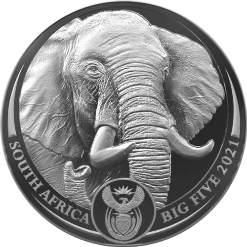 Big Five II Elefante
