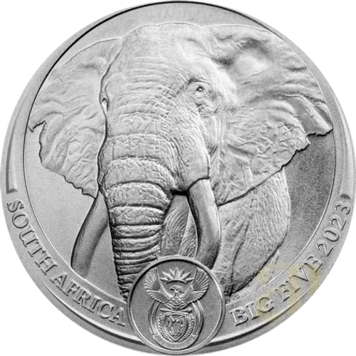 Big Five II Elefante