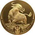 2026 Búfalo oro