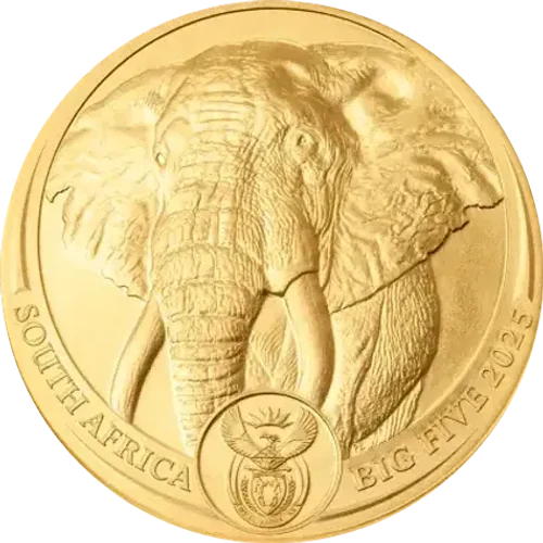 Big Five III Elefante