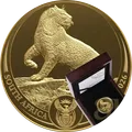 2026 Leopardo oro