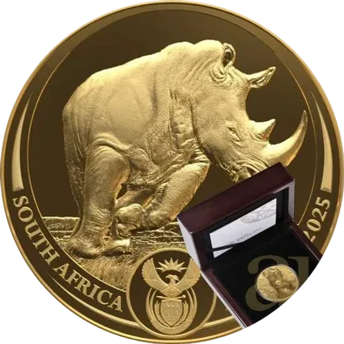 Big Five III Rinoceronte