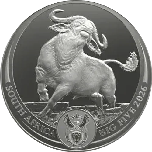 Big Five III Búfalo