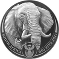 2021 · Elefante