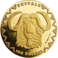 2023 Búfalo oro