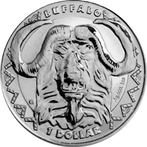 Big Five Sierra Leona Búfalo