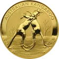 2010 · Canguro (diseño del año)