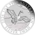 Cisne (Swan) 1 oz