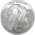 Elephant Asia Big Five 1 oz