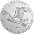 Bald Eagle 1 oz
