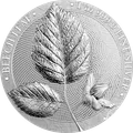 Mythical Forest Beech Leaf 1 oz