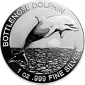 Bottlenose Dolphin 1 oz