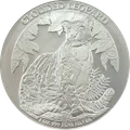 Wild Live Clouded Leopard 1 oz