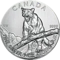 Cougar Predator 1 oz