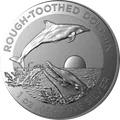 Rough Toothed Dolphin Royal 1 oz