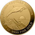 Rough Toothed Dolphin 1 oz