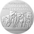 Sumatran Elephant 1 oz