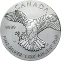 Peregrine Falcon 1 oz