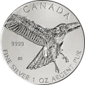Red Tailed Hawk 1 oz