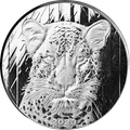 Leopard 1 oz
