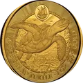 Loggerhead Turtle 1 oz