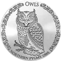 Northern Pygmy Owl 1 oz