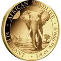 Elefante de Somalia 1/4 oz