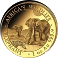 Elefante de Somalia 1 oz
