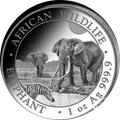 Elefante de Somalia 1 oz