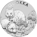 Quokka 1 oz
