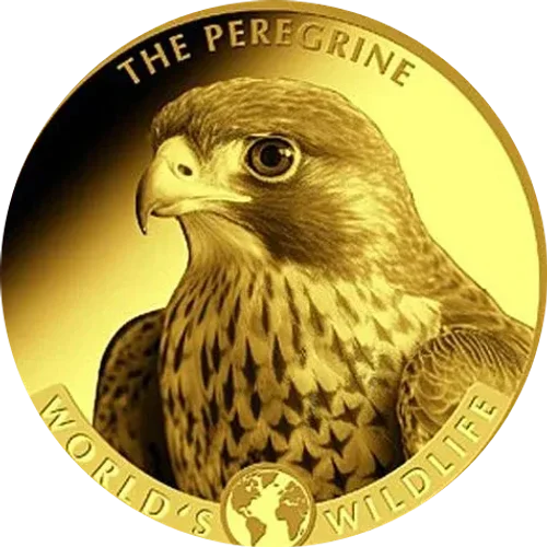 World's Wildlife Halcón peregrino