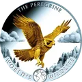2024 · Halcón peregrino · Dorada